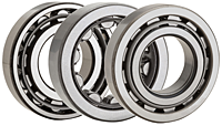 ISO Series Single Row Cylindrical Roller Bearings