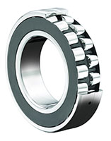 Shielded Spherical Roller Bearings